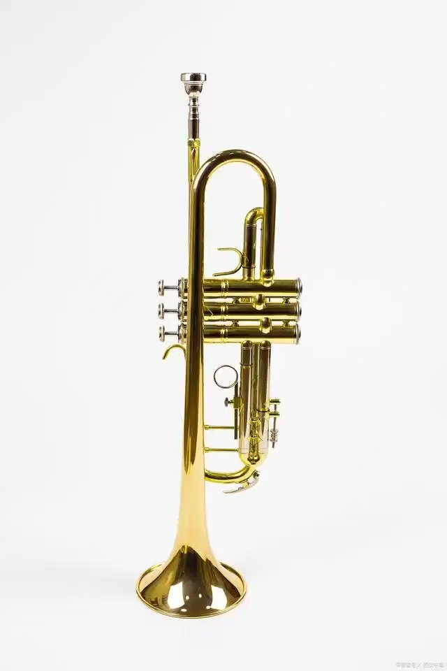 米瑞娜小号  RTR-101