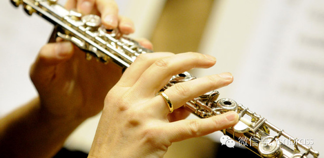 2014年第69届瑞士日内瓦国际音乐（长笛）比赛章程