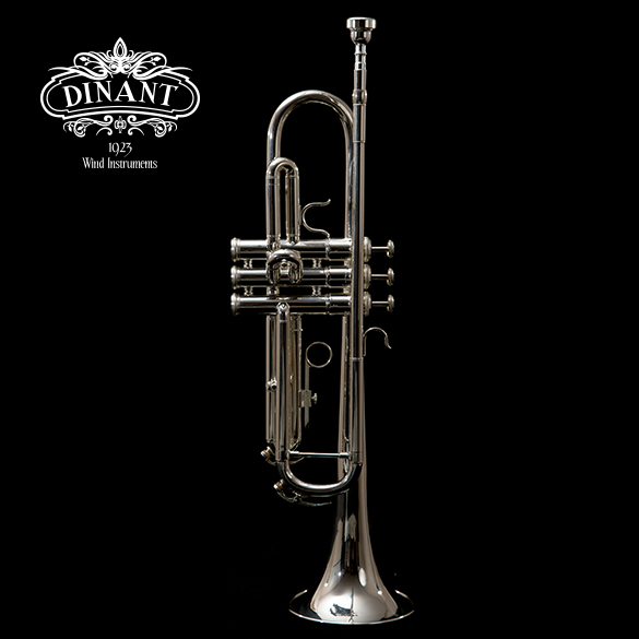 DTR-300S